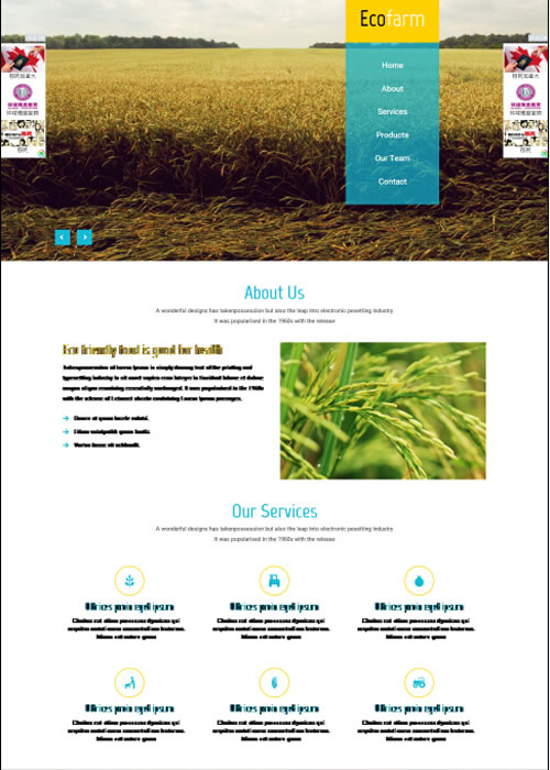 �˷N��ͬ��͵�푑�(y��ng)ʽ�W(w��ng)վ���O(sh��)�p��