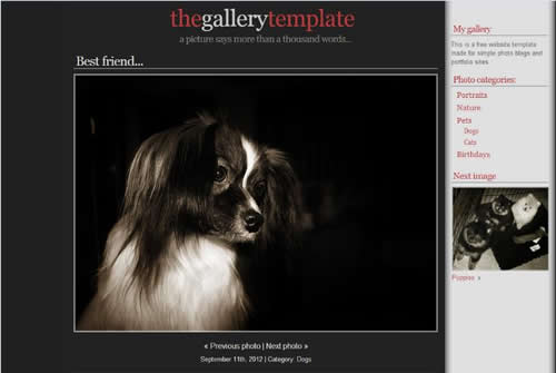 �������I(y��)�W(w��ng)վ��ô����