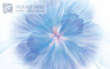 HUA&nbsp;AN&nbsp;TANG&nbsp;�����þW(w��ng)վ���O(sh��)